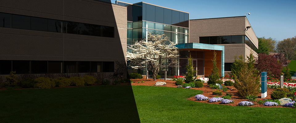 Cambridge City Landscapers