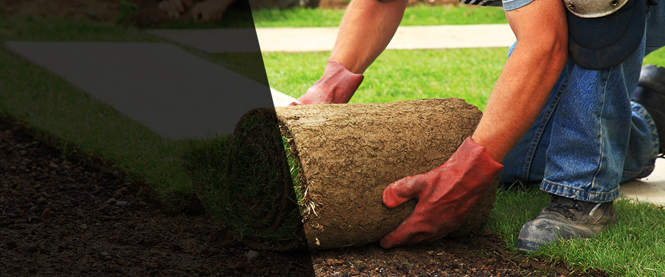 Cambridge City Landscapers